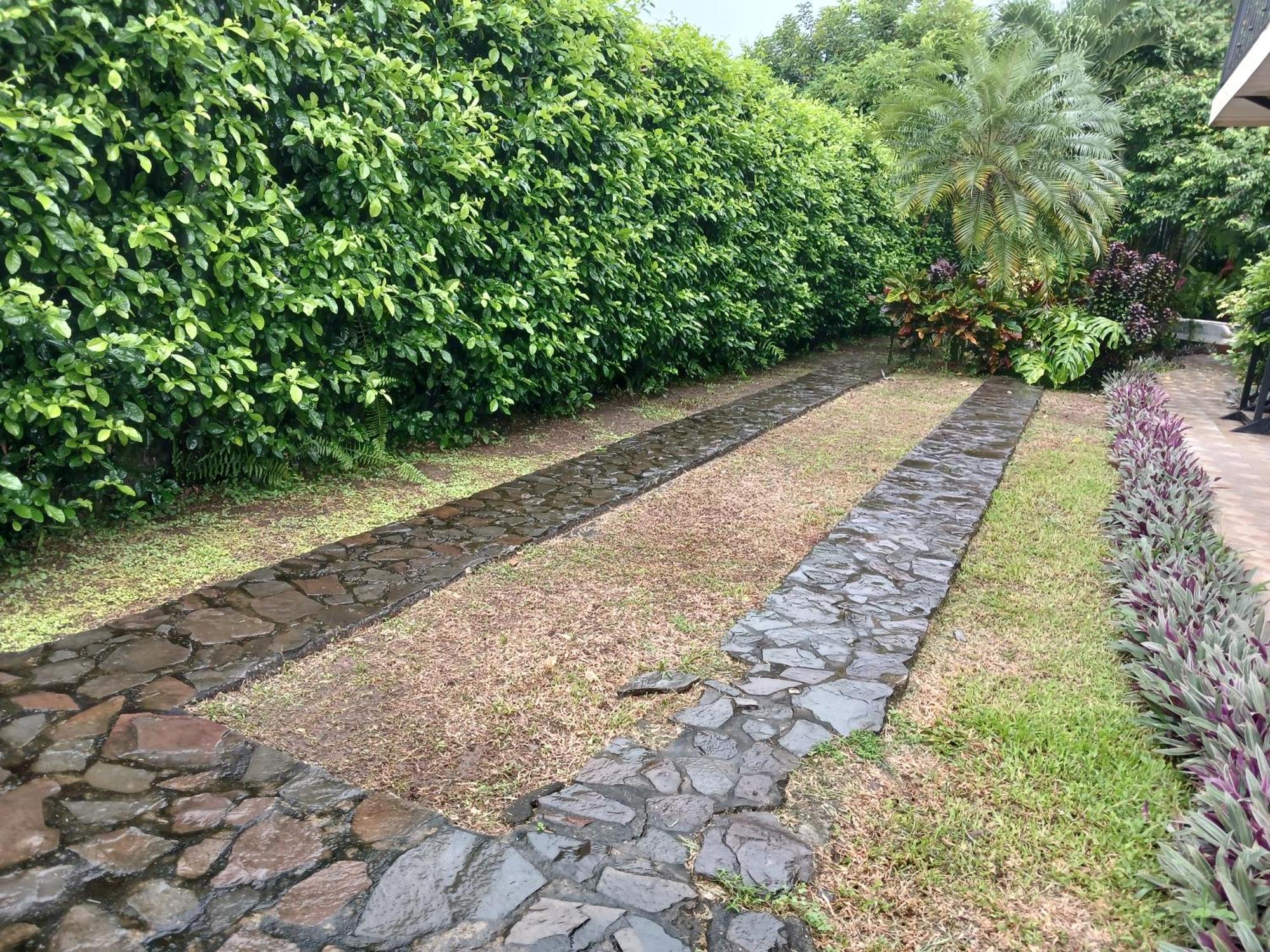 San Gabriel Apartments La Fortuna ภายนอก รูปภาพ